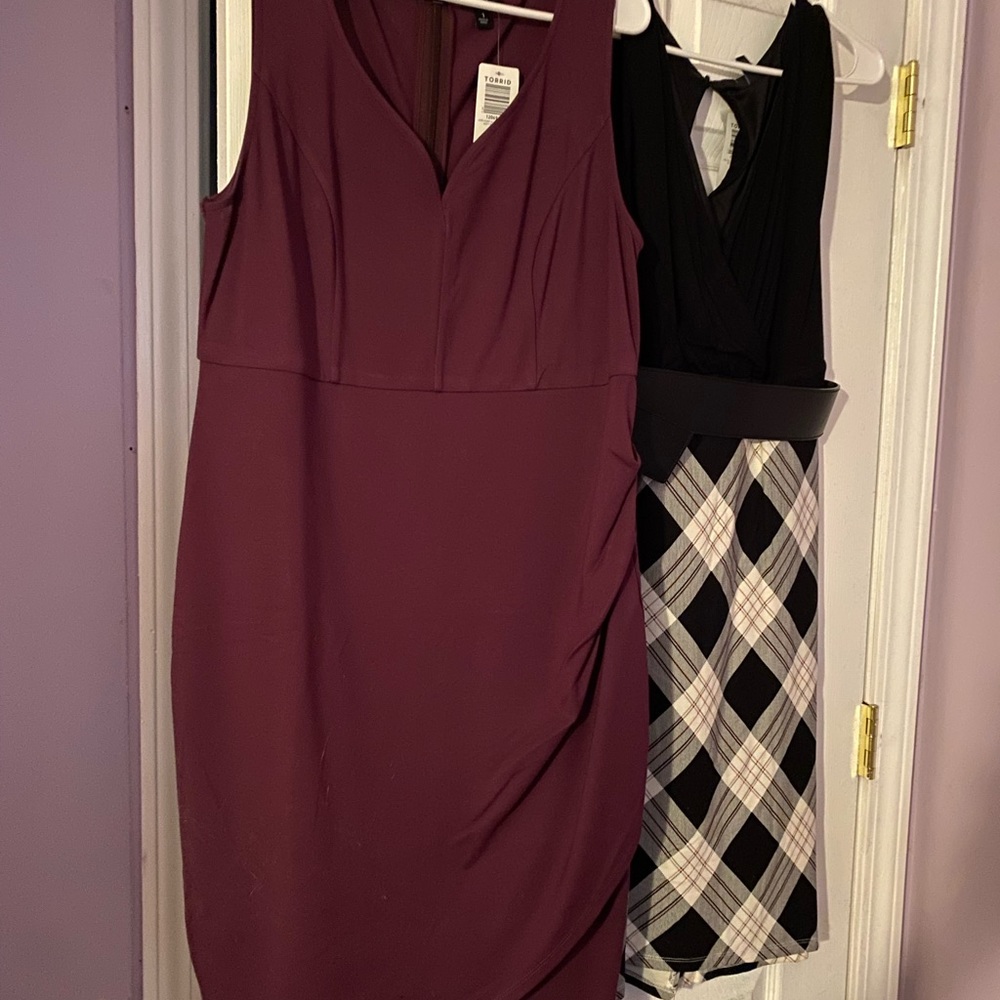 Torrid Lot